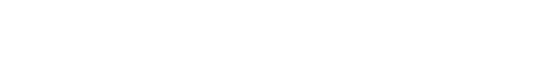 XXI SLALM